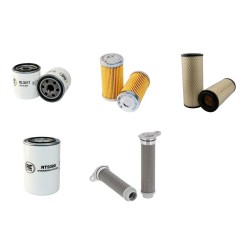 Iseki SF310 Filter Service Kit with Iseki E3CDVG03 Engine