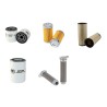 Filter kit for Iseki SF310 with Iseki E3CDVG03 Engine