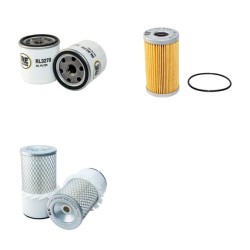 Iseki TE3210 Filter Service Kit Air, Oil, Fuel Filters