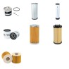 Filter kit for Iseki Vitra 2045 2060 Sweeper 
