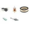 JOHN DEERE LT 166 Filter Service Kit w/Briggs-Stratton Eng.