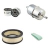 JOHN DEERE LTR 166 Filter Service Kit w/Briggs-Stratton Eng.