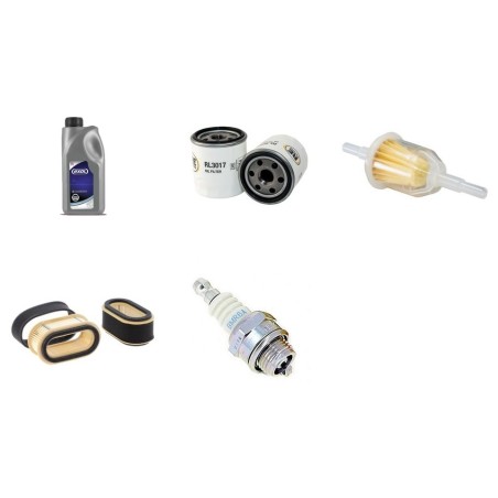JOHN DEERE LX178, LX188 Filter Service Kit Air, Oil, Fuel, Spark Plugs, Oil 2L