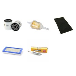 Filter Kit for John Deere X300, X300R, X304 Filter Kit Air, Oil, Fuel, Spark Plugs ( Type2 )