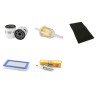 Filter Kit for John Deere X300, X300R, X304 Filter Kit Air, Oil, Fuel, Spark Plugs ( Type2 )