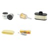 Filter Kit for John Deere X300, X300R, X304 Air, Oil, Fuel, Spark Plugs
