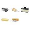 JOHN DEERE X305R Filter Kit Air, Oil, Fuel, Spark Plugs