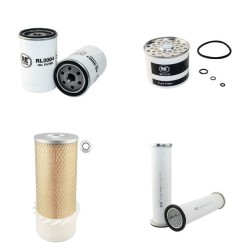 LAMBORGHINI C 503 S Filter Service Kit Air Oil Fuel Filters
