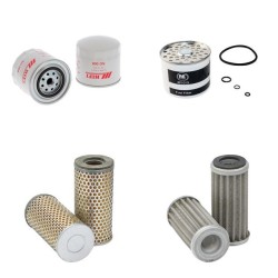 LAMBORGHINI R 653 (DT) Filter Service Kit