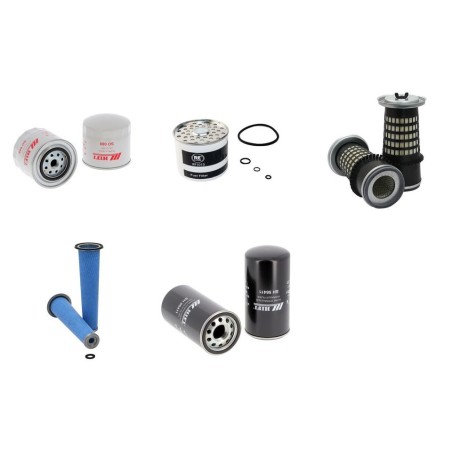 LAMBORGHINI R 660 DT Filter Service Kit