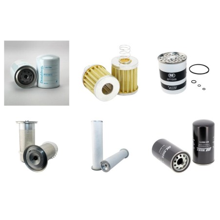 LAMBORGHINI R 956 (DT) Filter Service Kit