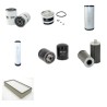 LANDINI 8880 (DT) Filter Service Kit w/Perkins A4.248 Eng.
