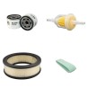 MASSEY FERGUSON MF 30.17 WS Filter Service Kit w/Briggs+Strat Eng.