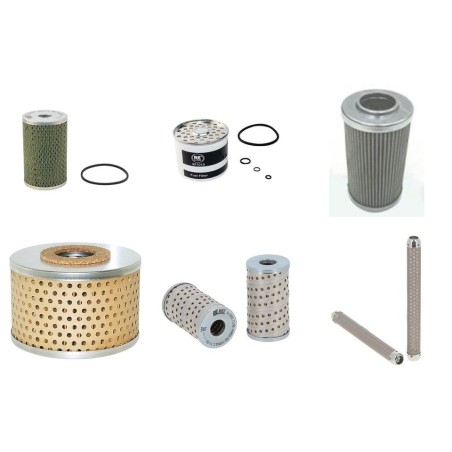 MASSEY FERGUSON MF 130 Filter Service Kit w/Perkins A4.107 Eng.