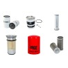 MASSEY FERGUSON MF 355 Filter Service Kit