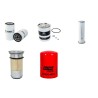 MASSEY FERGUSON MF 360 Filter Service Kit