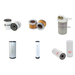 Massey Ferguson MF2410 Compact Filter Service Kit