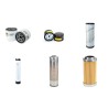 CHABAS ARBOFRUIT A 31 Filter Service Kit w/Lombardini FOCS1404 Eng.