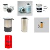 MASSEY FERGUSON MF 7256 Filter Service Kit w/SISU Eng.   YR  2004-