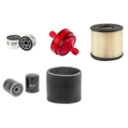 RAPID 507 Filter Service Kit w/BRIGGS + STRATTON Eng. YR 91-
