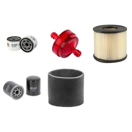 RAPID 507 Filter Service Kit w/BRIGGS + STRATTON Eng.   YR  91-