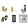 RAPID MT 300 Filter Service Kit w/ISEKI E3AD1 Eng.