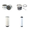 REFORM MOUNTY 80 Filter Service Kit Air Oil Fuel Filters w/Perkins 704.30T Eng.