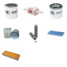 REFORM MULI 550 Filter Service Kit w/Kubota V 2203B Eng.