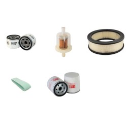 REFORM RM20 Filter Service Kit w/Briggs & Stratton 16PS/CV