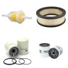 TORO 3-100 Filter Service Kit w/Briggs + Stratton Eng.