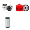 Filter Kit for Toro ReelMaster 2000 D Air Oil Fuel Filters with B+S / Daihatsu Engine