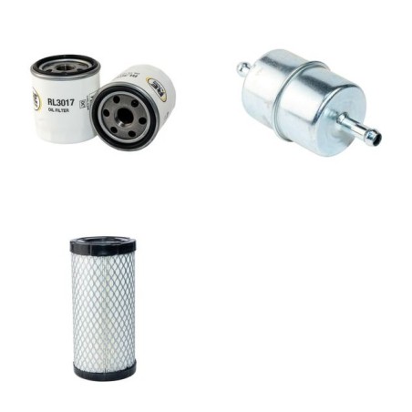 Filter Kit for Toro Workman 3200 Air Oil Fuel Filters with B+S Daihatsu Engine