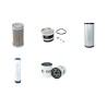 TYM T 433 Filter Service Kit Air Oil Fuel Filters w/Perkins 404D22 Eng.
