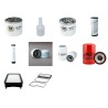 YANMAR EF 233 H Filter Service Kit w/Yanmar Eng.