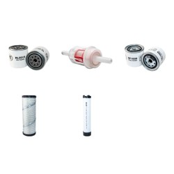 JUNGHEINRICH DFG 20 AK Filter Service Kit Air Oil Fuel Filters w/Perkins/SHIBAURA 4ZYL Eng.