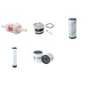 JUNGHEINRICH DFG 320 S Filter Service Kit Air Oil Fuel Filters w/Perkins 404C-22 Eng.