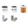 YALE FG 20-30 Filter Service Kit w/D5 Eng.