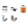 YALE FG 30 PV Filter Service Kit