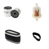 ETESIA BAHIA MKHE Filter Service Kit w/KAWASAKI FC 420V Eng.