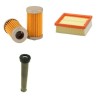 LOMBARDINI 15LD225 Filter Service Kit