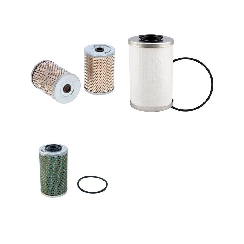 RUGGERINI RD 113 Filter Service Kit