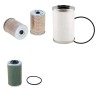 RUGGERINI RD 113 Filter Service Kit