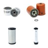 CUSHMAN 1600 XD 4x4 Filter Service Kit