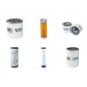 Cushman Turf Truckster Filter Service Kit with  Kubota D1105 Engine