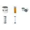CUSHMAN TURF TRUCKSTER Filter Service Kit Air Oil Fuel Filters w/Kubota D1105 Eng.   YR  2011-