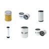 Cushman Turf Truckster Filter Service Kit with  Perkins 403C11 Engine