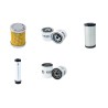 Cushman Turf Truckster Filter Service Kit with  Perkins 403C11 Engine Air Oil Fuel