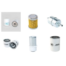 Cushman Turf Truckster Filter Service Kit with Perkins 10310