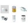 Cushman Turf Truckster Filter Service Kit with Perkins 10310 Engine Air fins