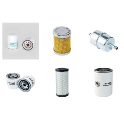 Cushman Turf Truckster Filter Service Kit with Perkins 10310
